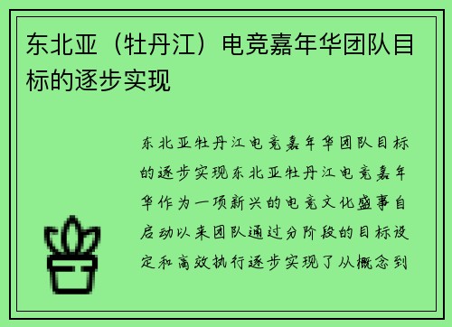 东北亚（牡丹江）电竞嘉年华团队目标的逐步实现