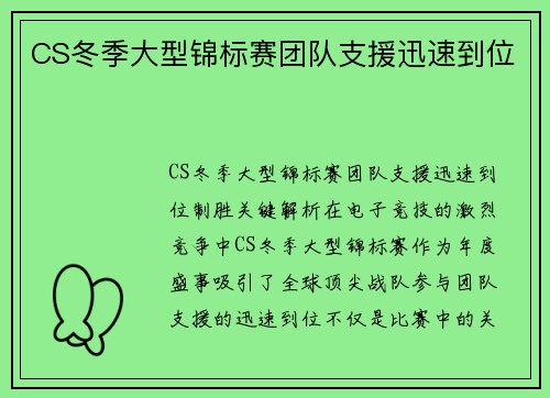 CS冬季大型锦标赛团队支援迅速到位
